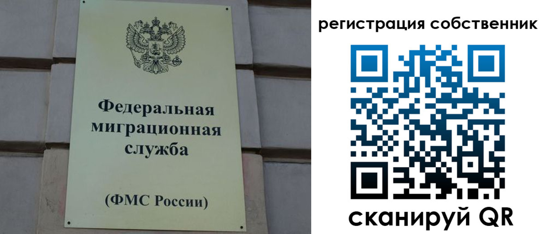 прописка гарантия в Новодвинске